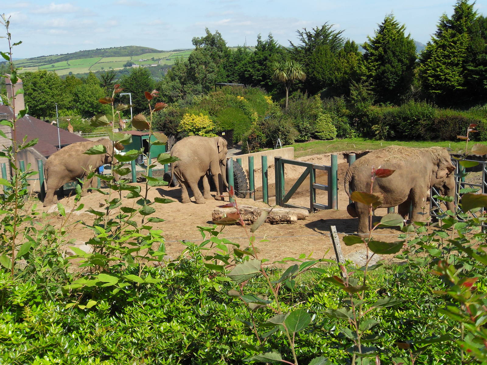 Belfast Visit 1st Sept