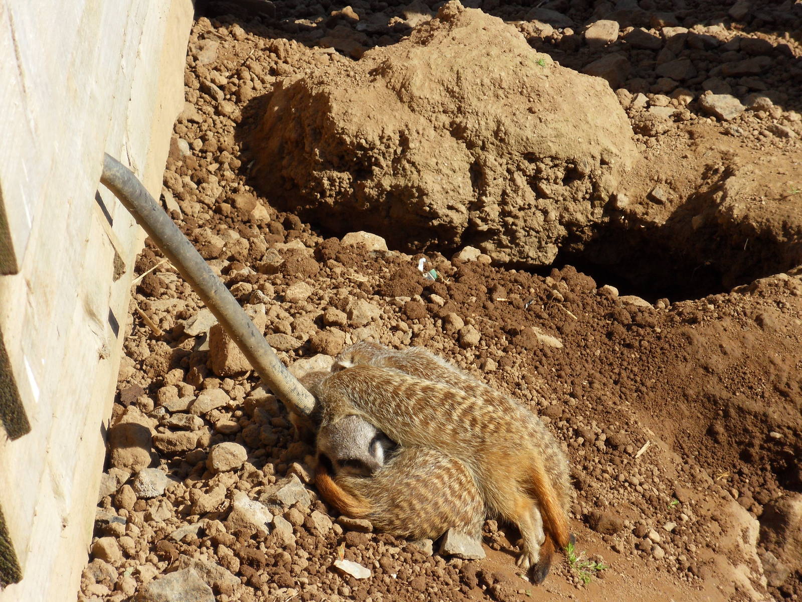 Belfast Visit 1st Sept