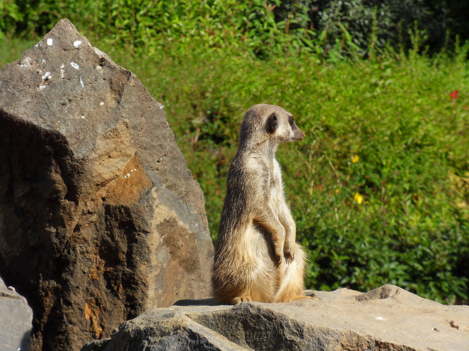 Belfast Visit 1st Sept