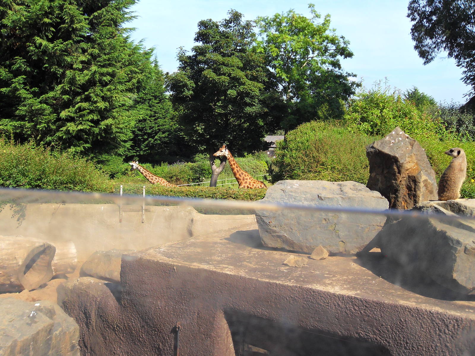 Belfast Visit 1st Sept