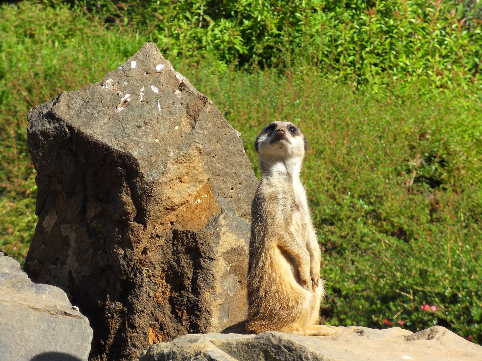 Belfast Visit 1st Sept