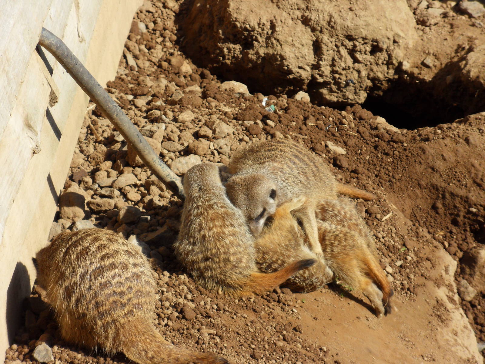 Belfast Visit 1st Sept