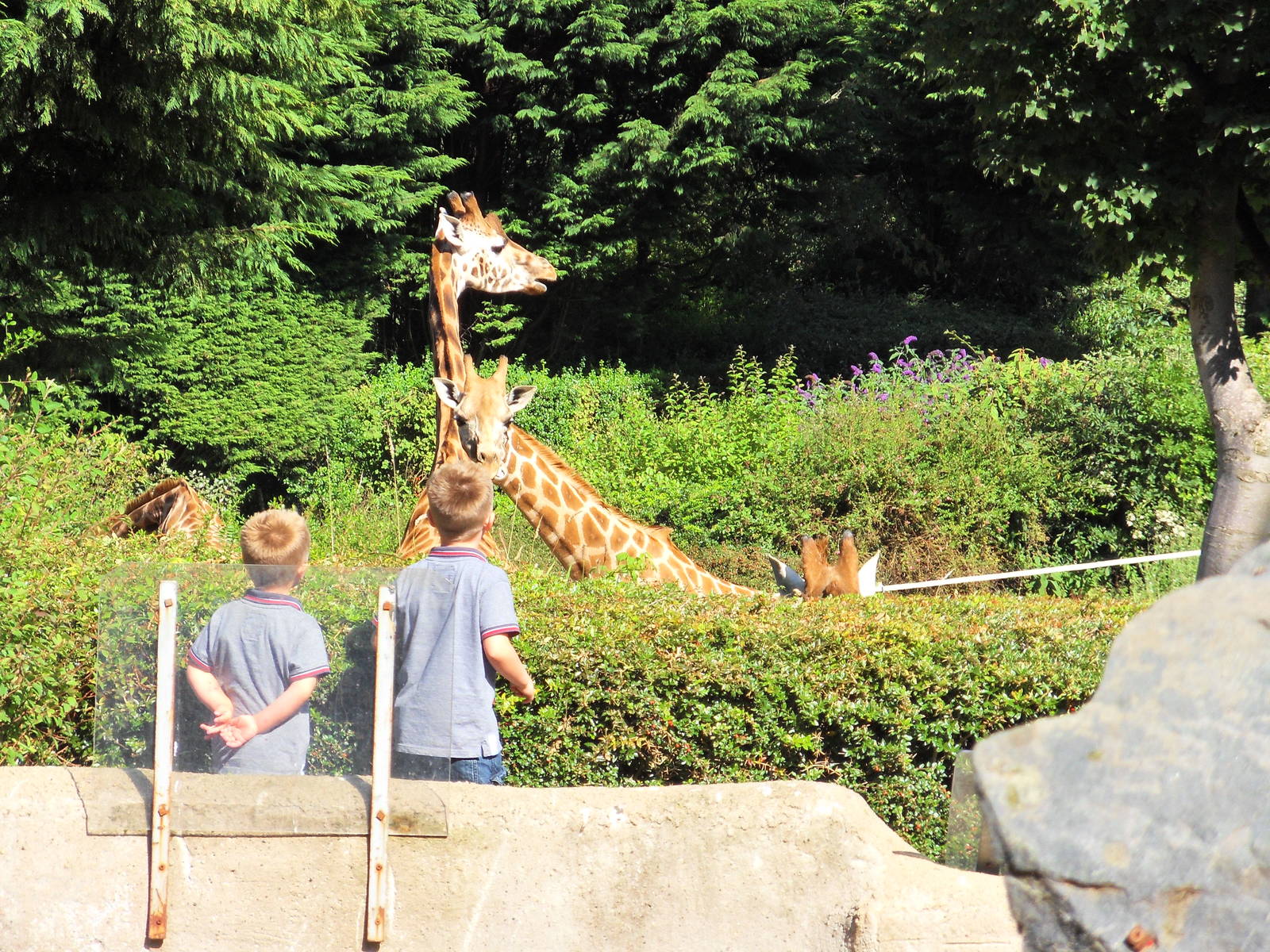 Belfast Visit 1st Sept