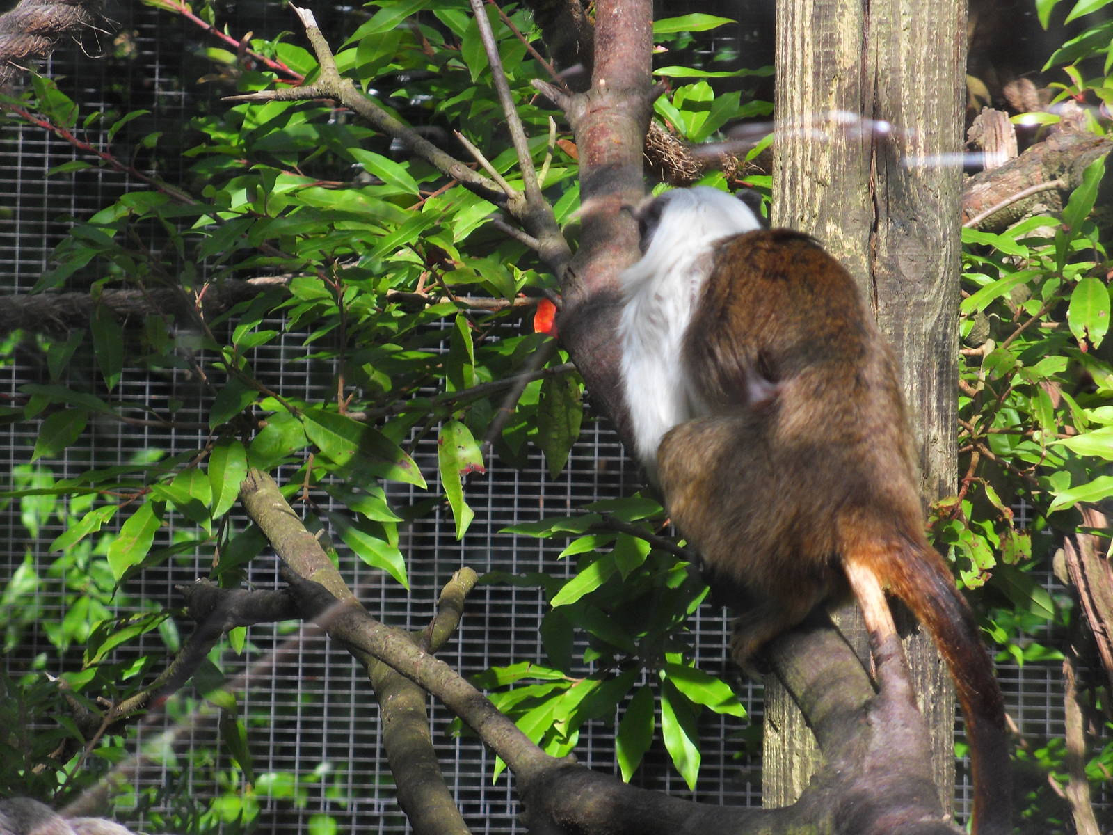 Belfast Visit 1st Sept