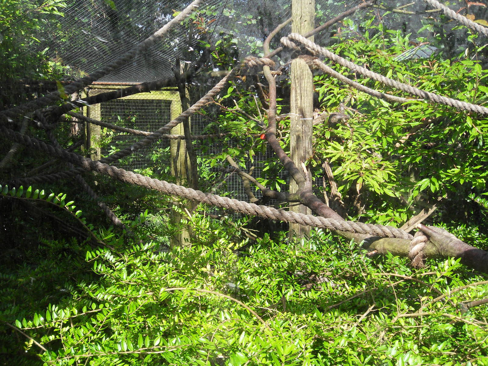 Belfast Visit 1st Sept