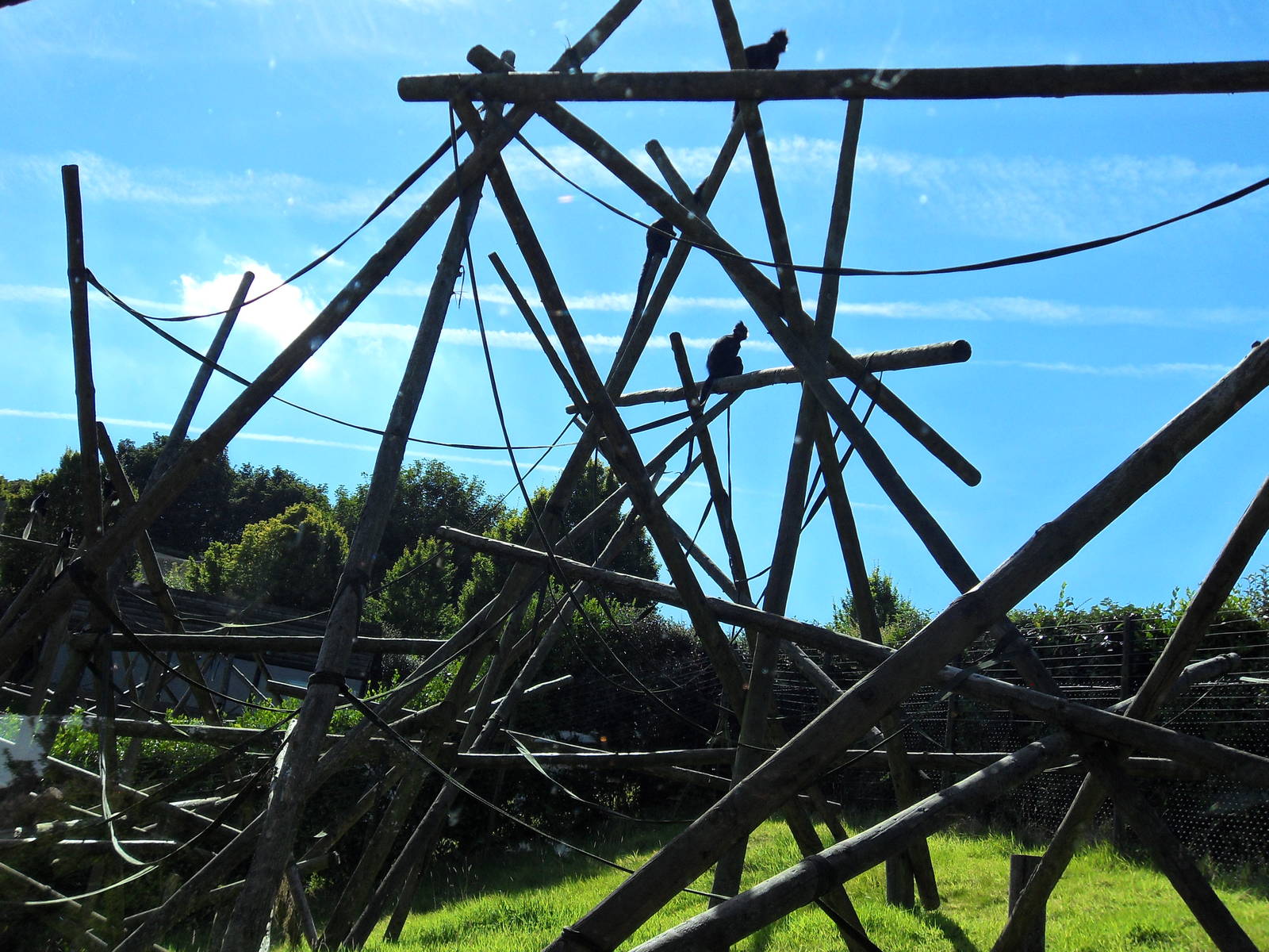 Belfast Visit 1st Sept