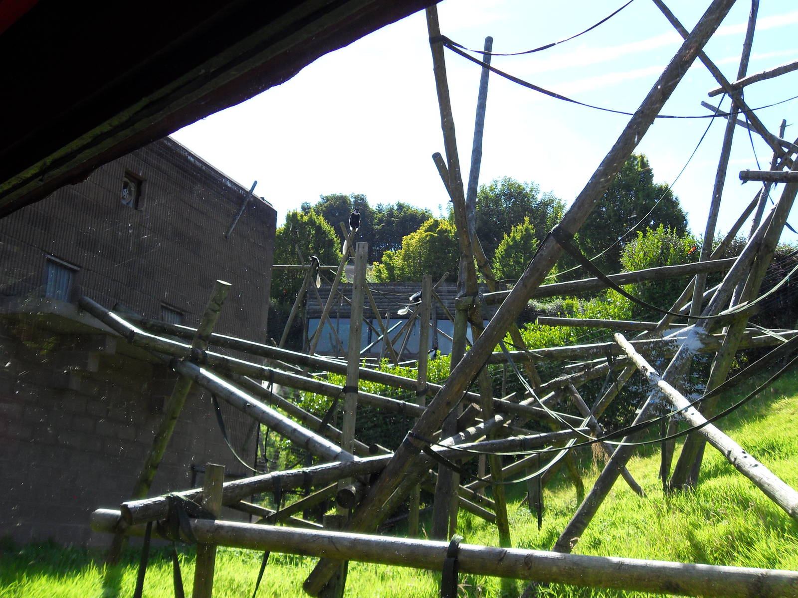 Belfast Visit 1st Sept