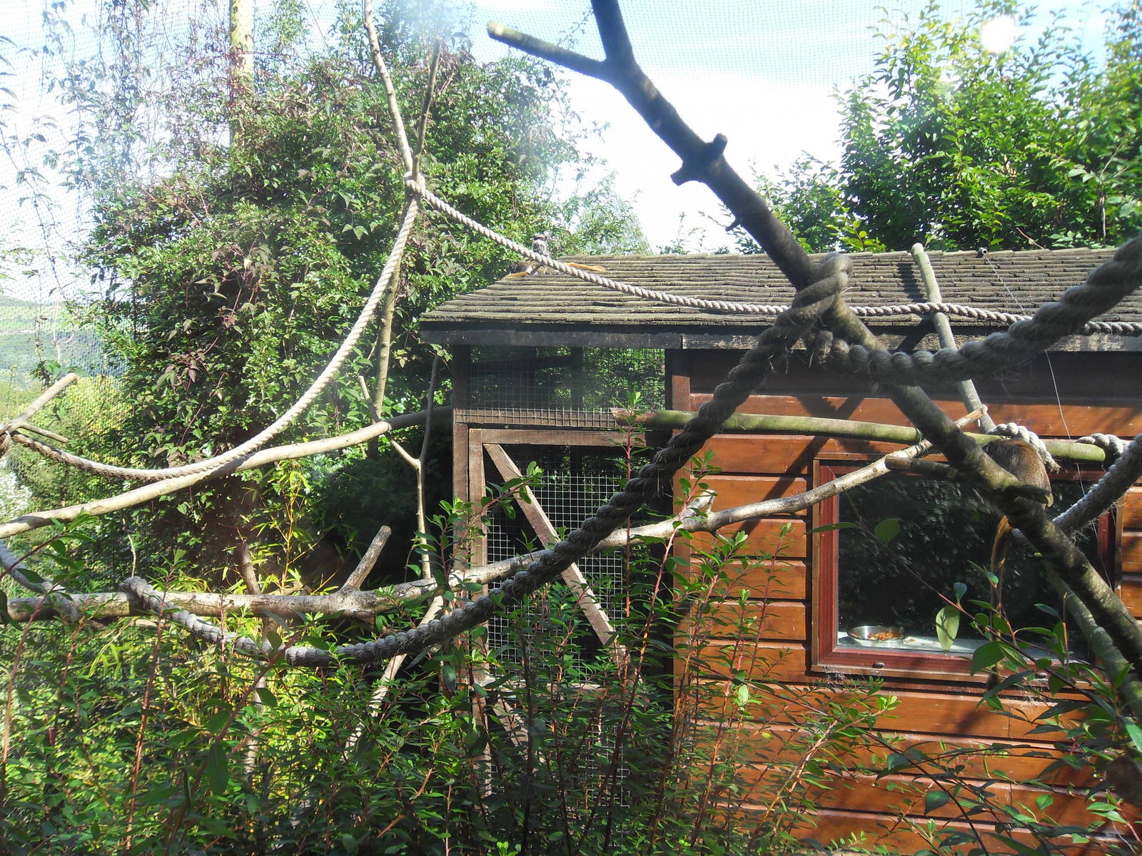 Belfast Visit 1st Sept