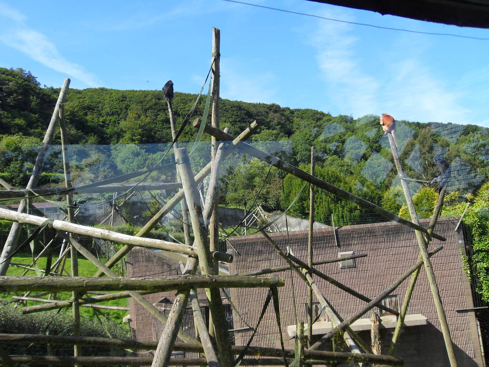 Belfast Visit 1st Sept