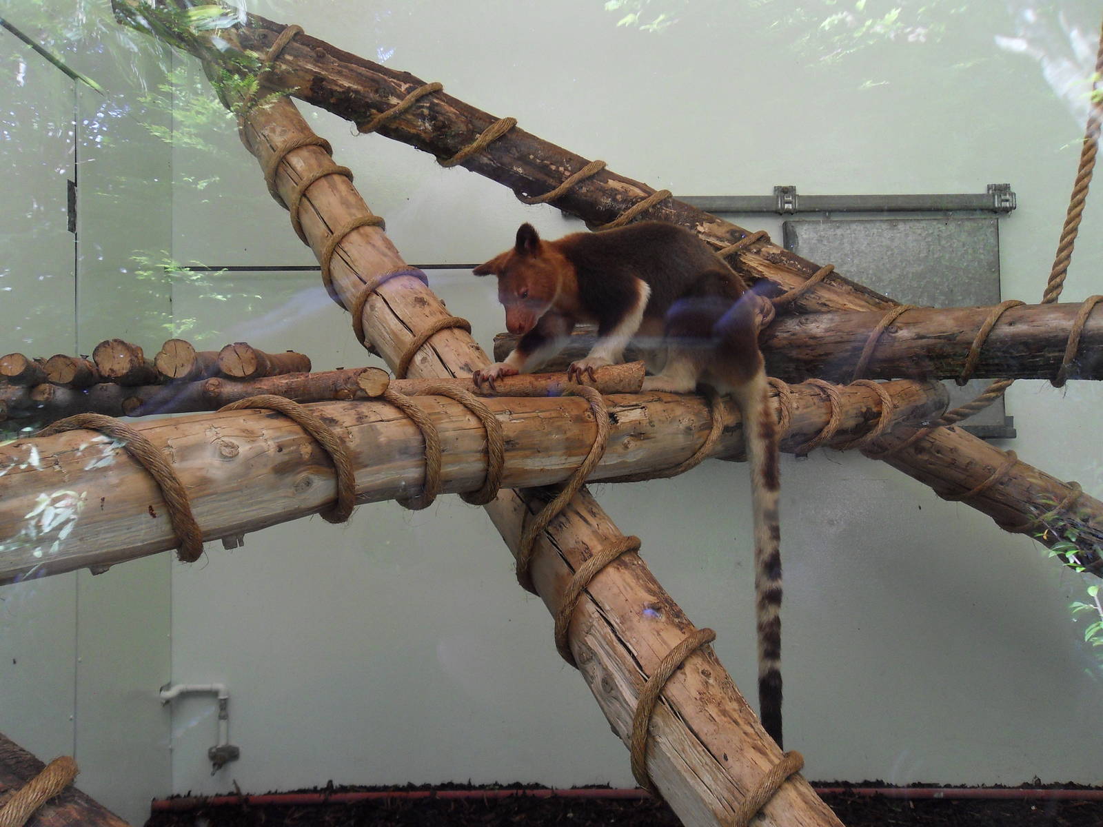 Belfast Visit 1st Sept