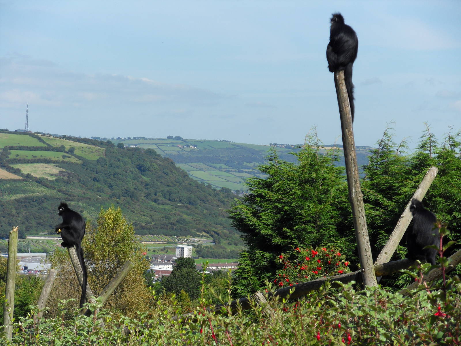 Belfast Visit 1st Sept