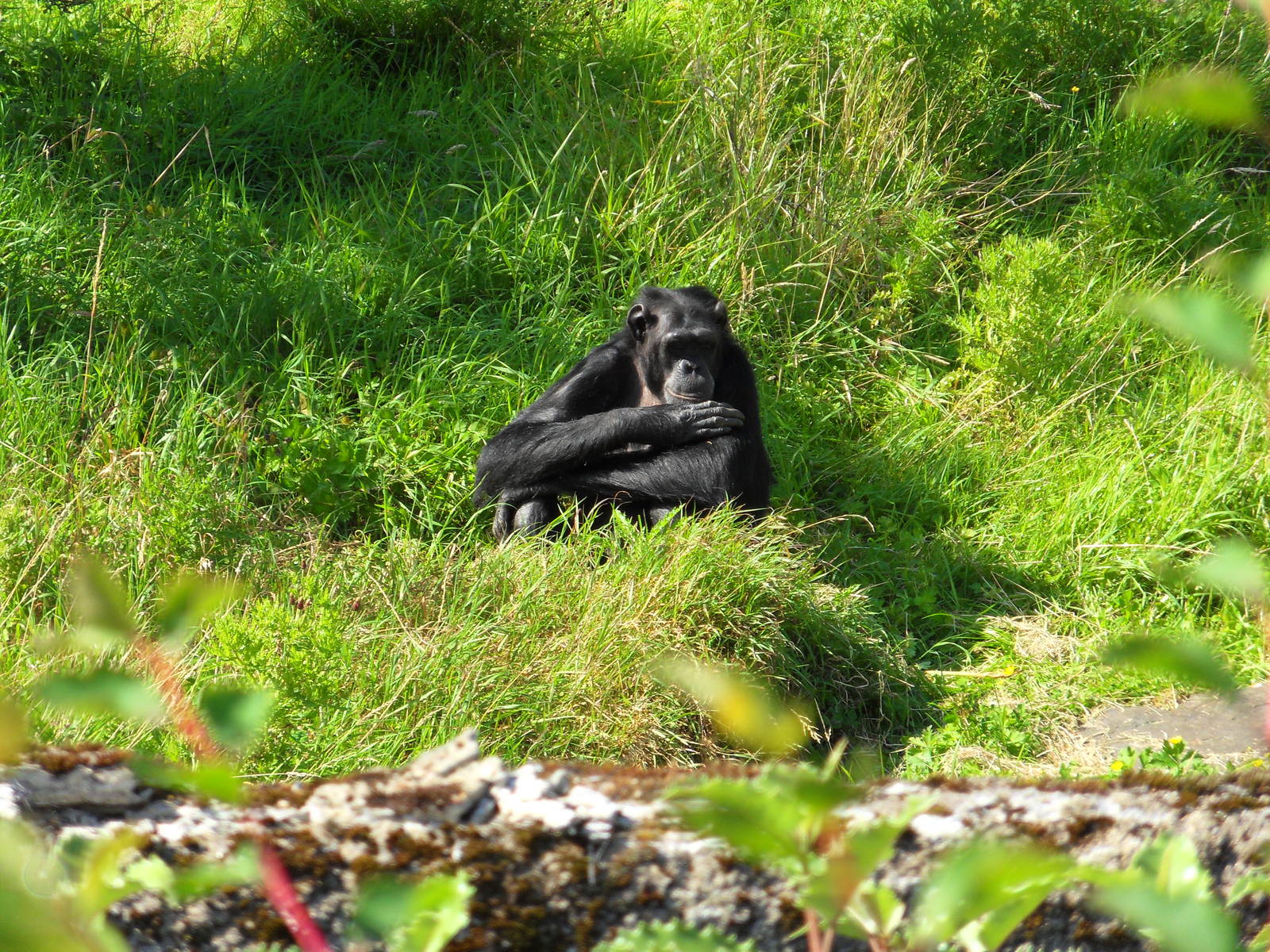 Belfast Visit 1st Sept