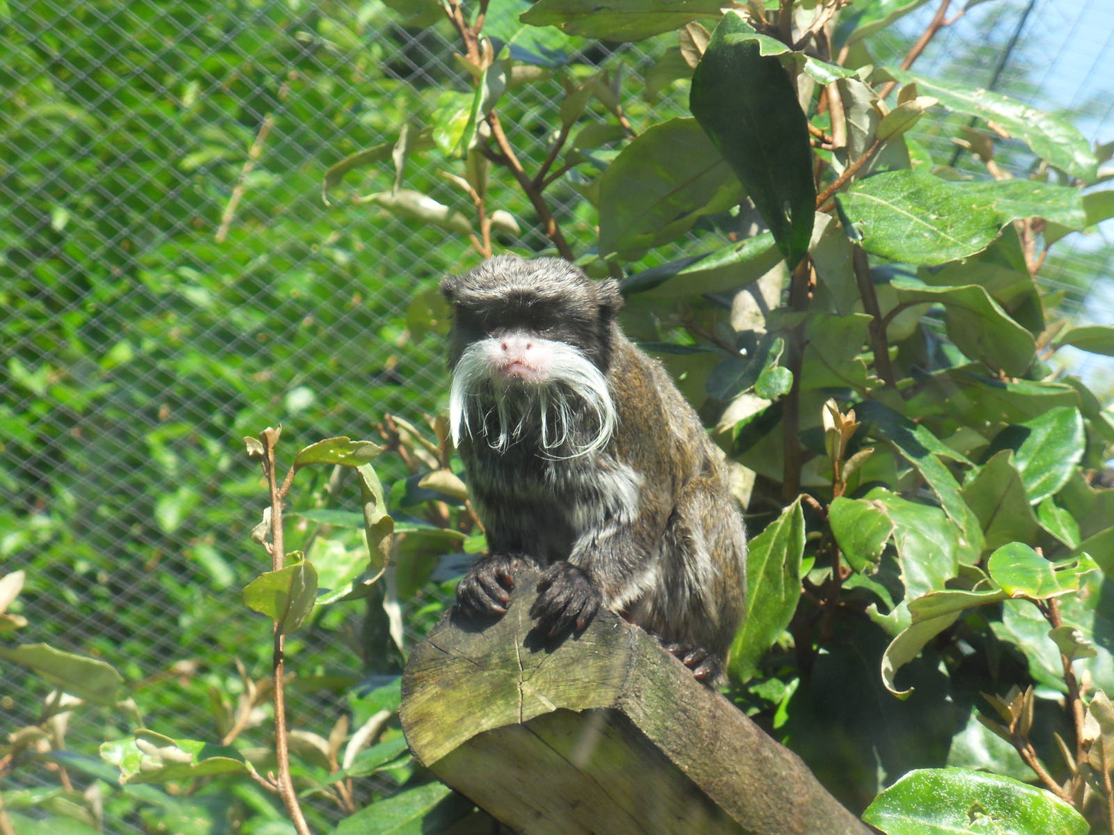 Belfast Visit 1st Sept