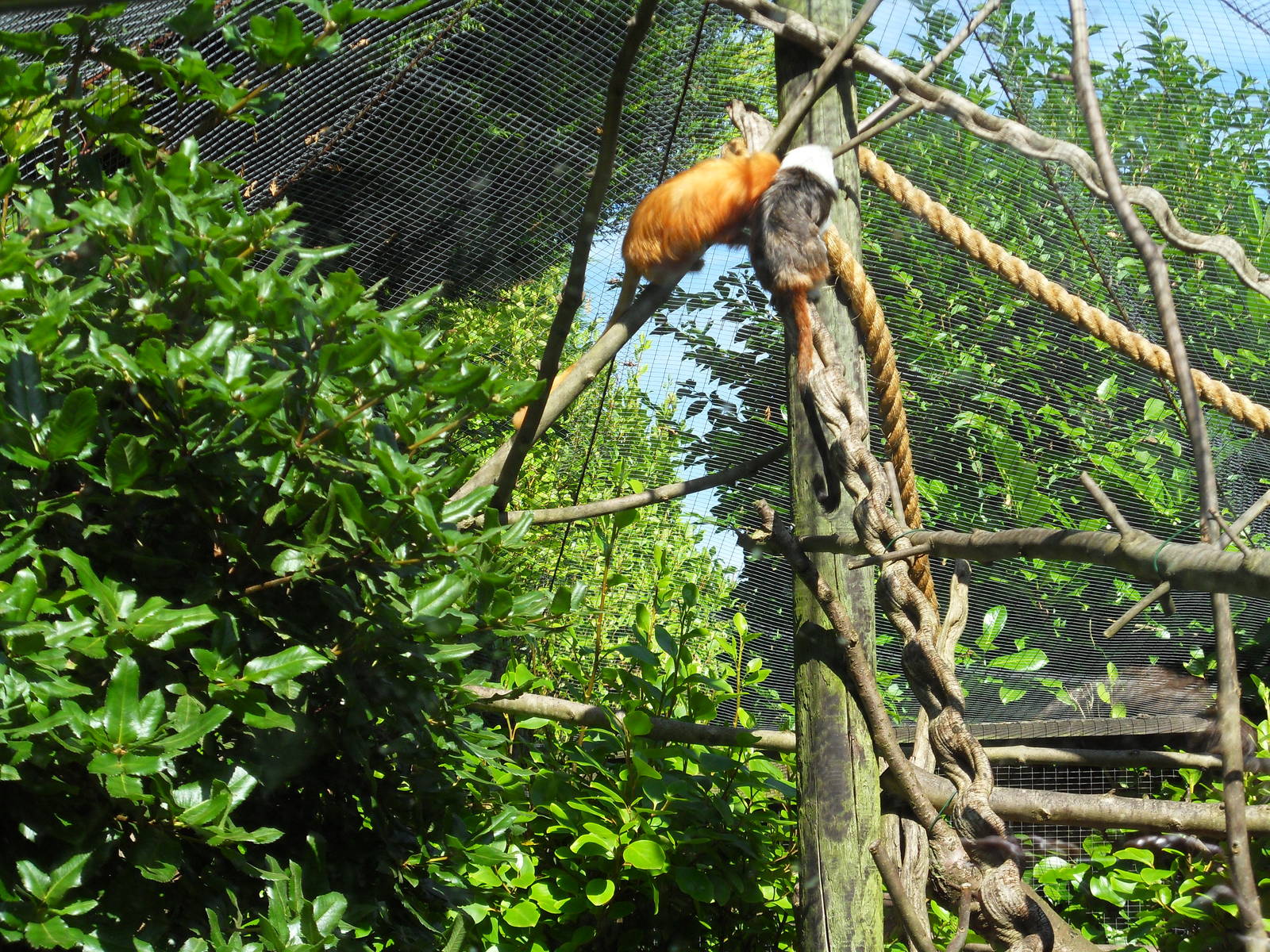 Belfast Visit 1st Sept