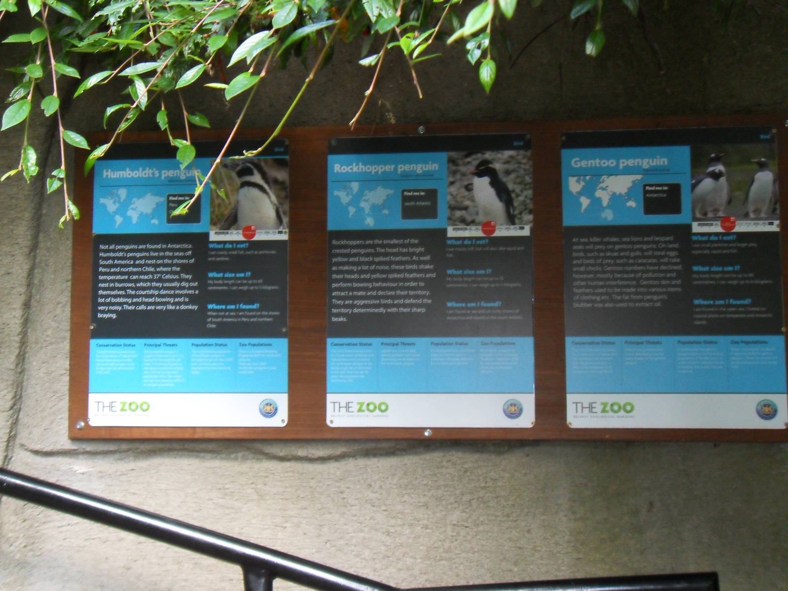 Belfast Visit 1st Sept