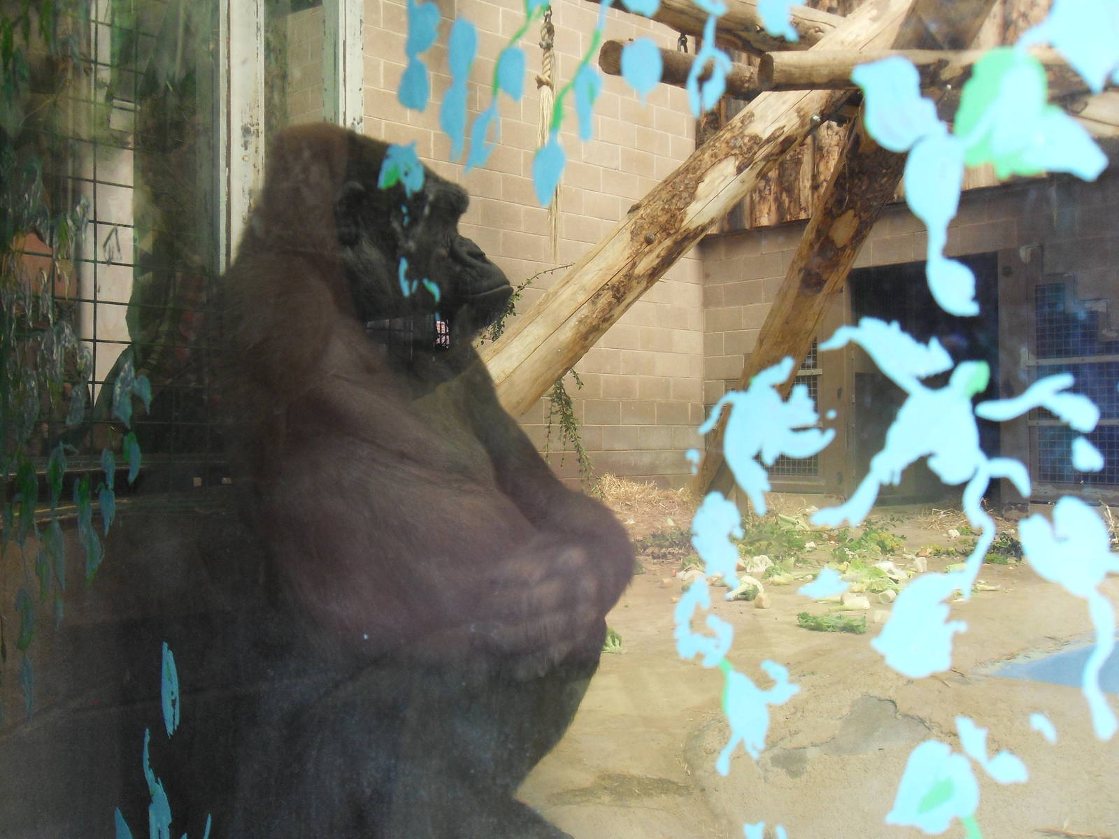 Belfast Visit 1st Sept