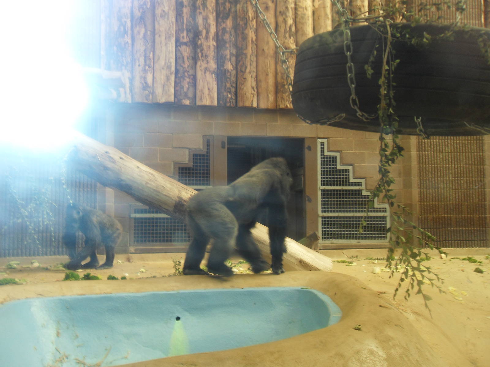 Belfast Visit 1st Sept