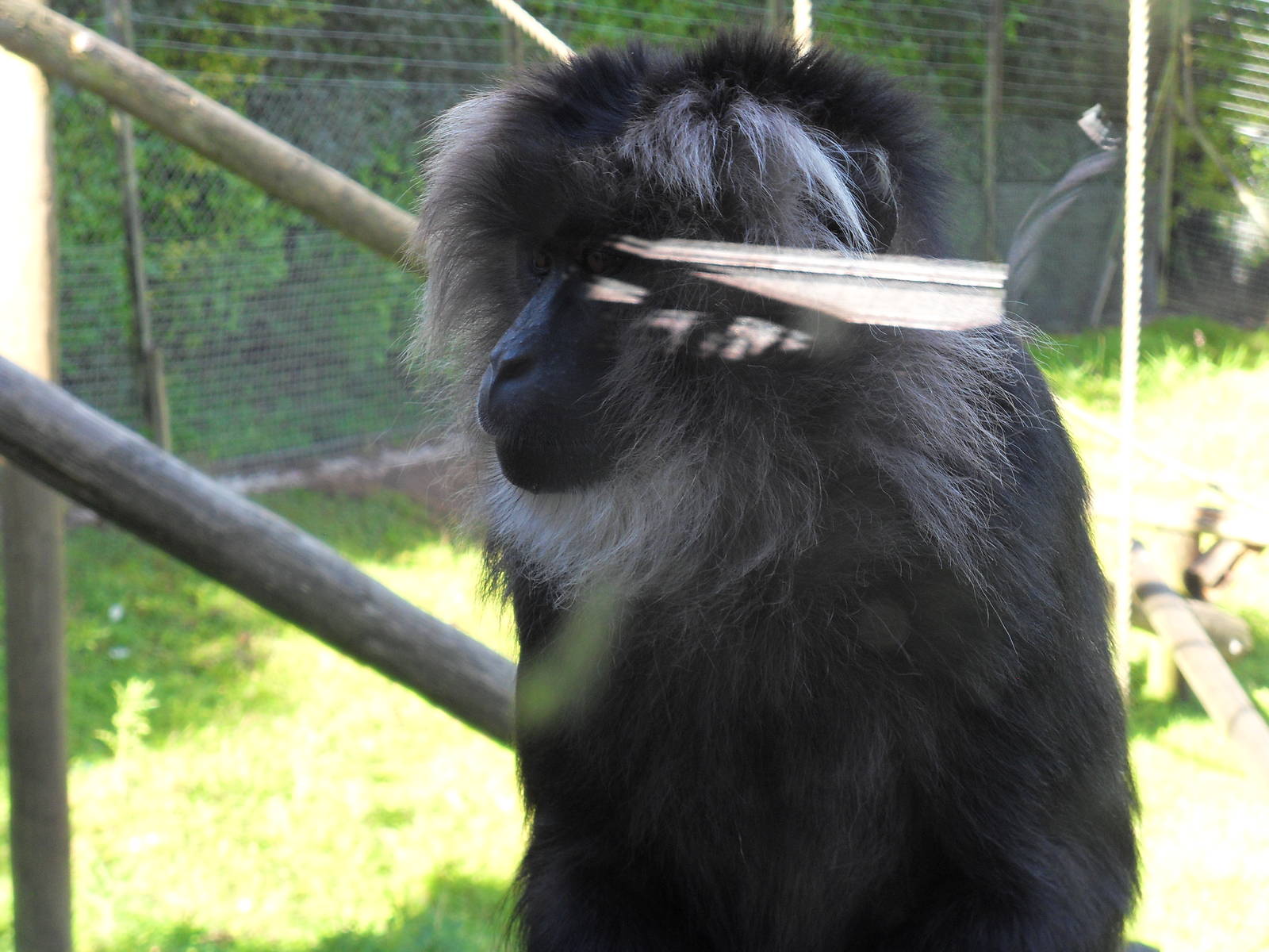 Belfast Visit 1st Sept