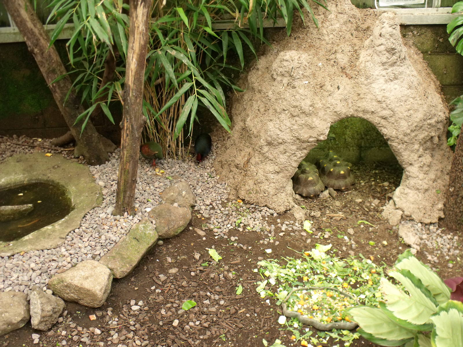 Belfast zoo 19 08 10 194