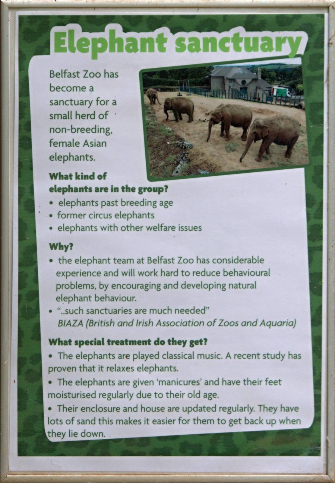 Belfast Zoo - Elephant Sanctuary sign