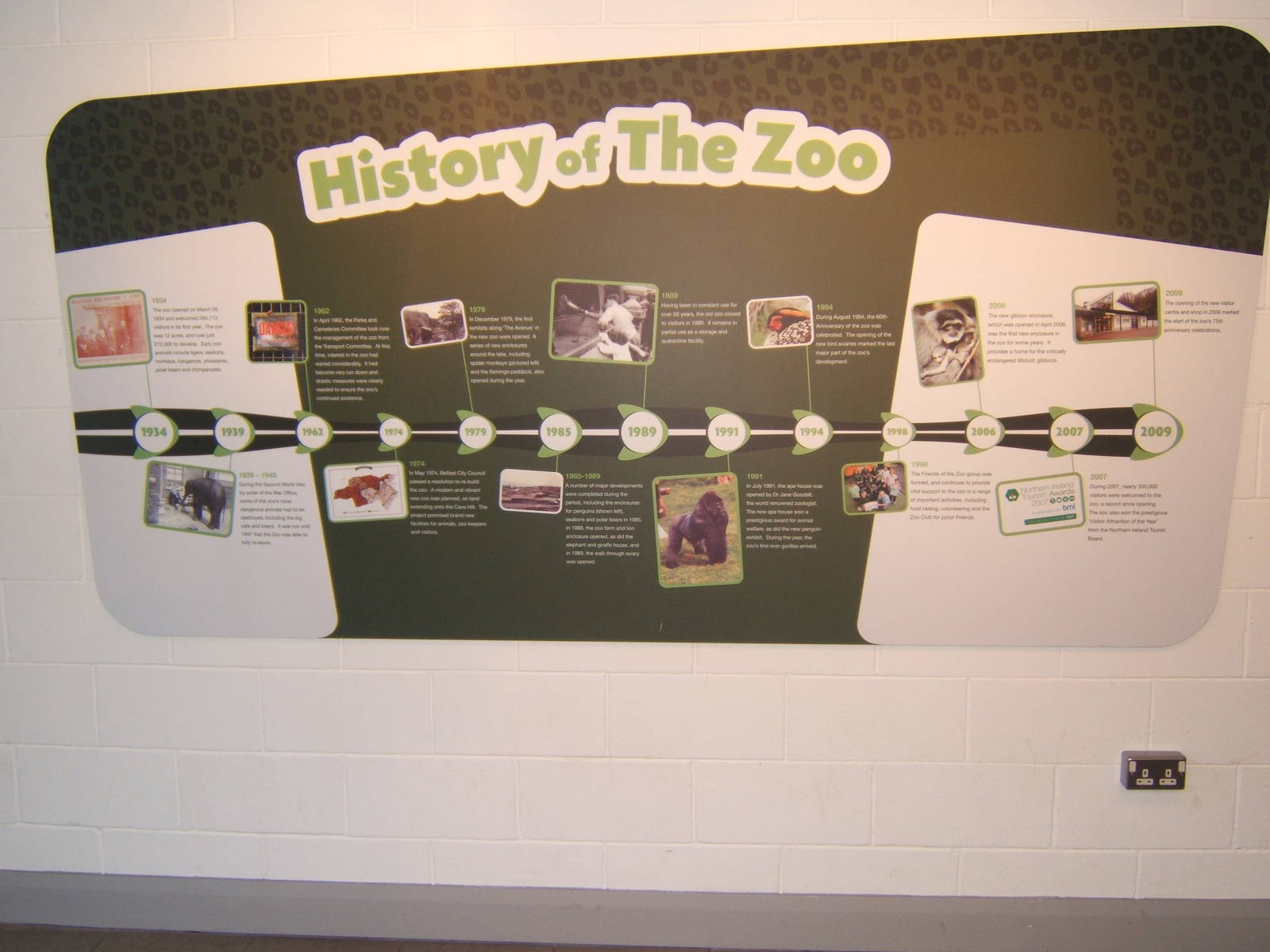 Belfast zoo History timeline