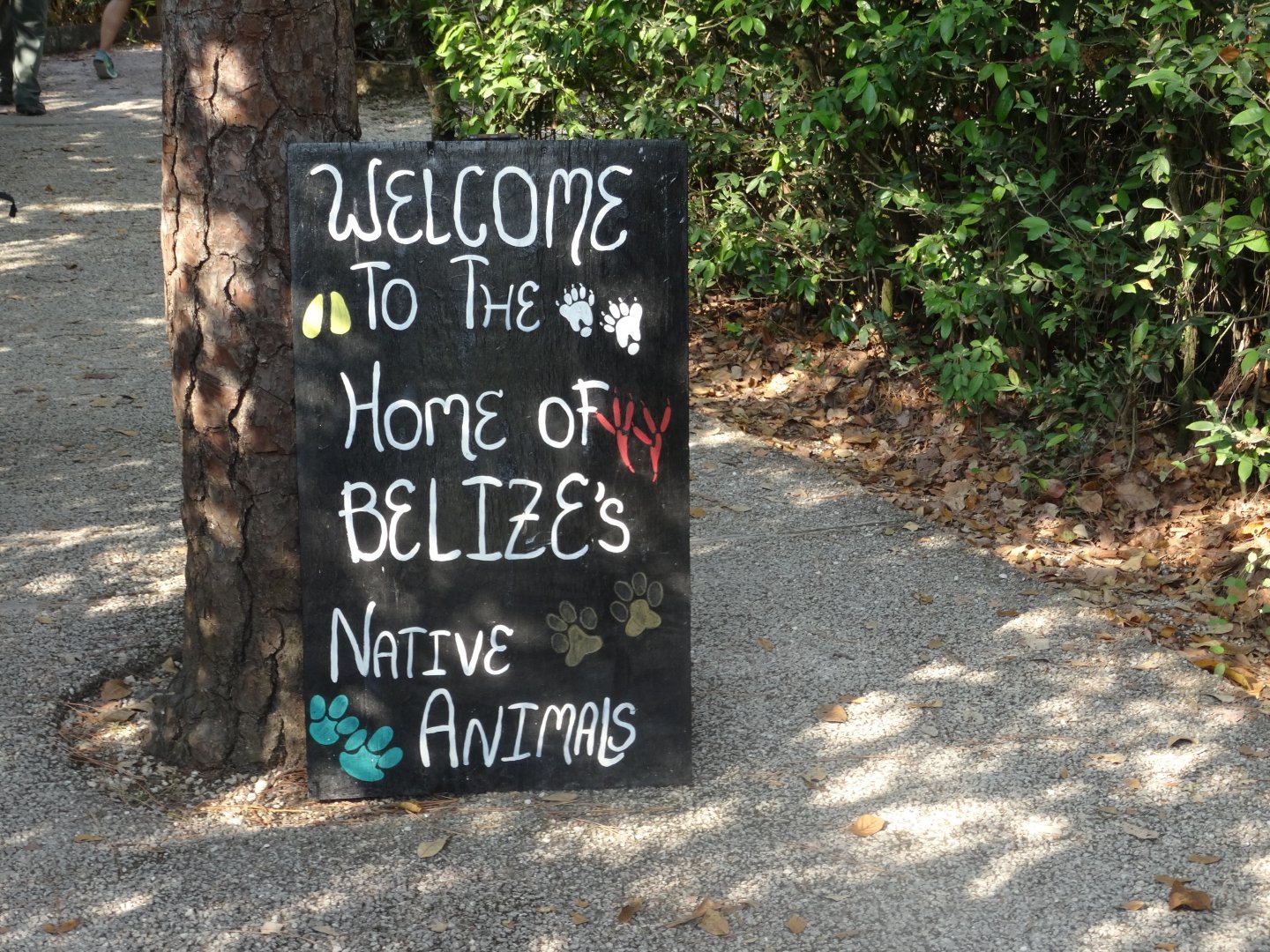 Belize Zoo Sign