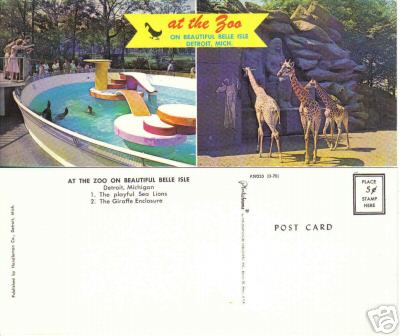 Belle Isle Giraffes and Sea Lions