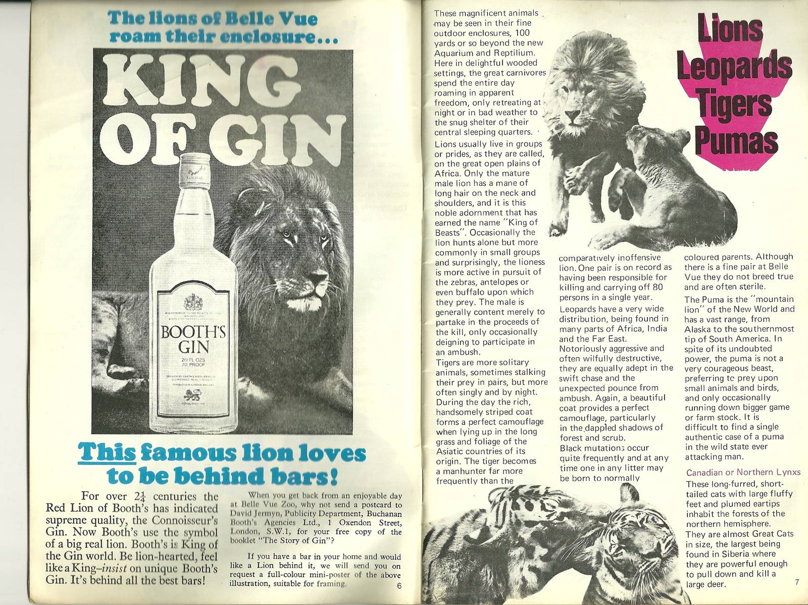 Belle Vue, Manchester. Pages from 1971 guidebook