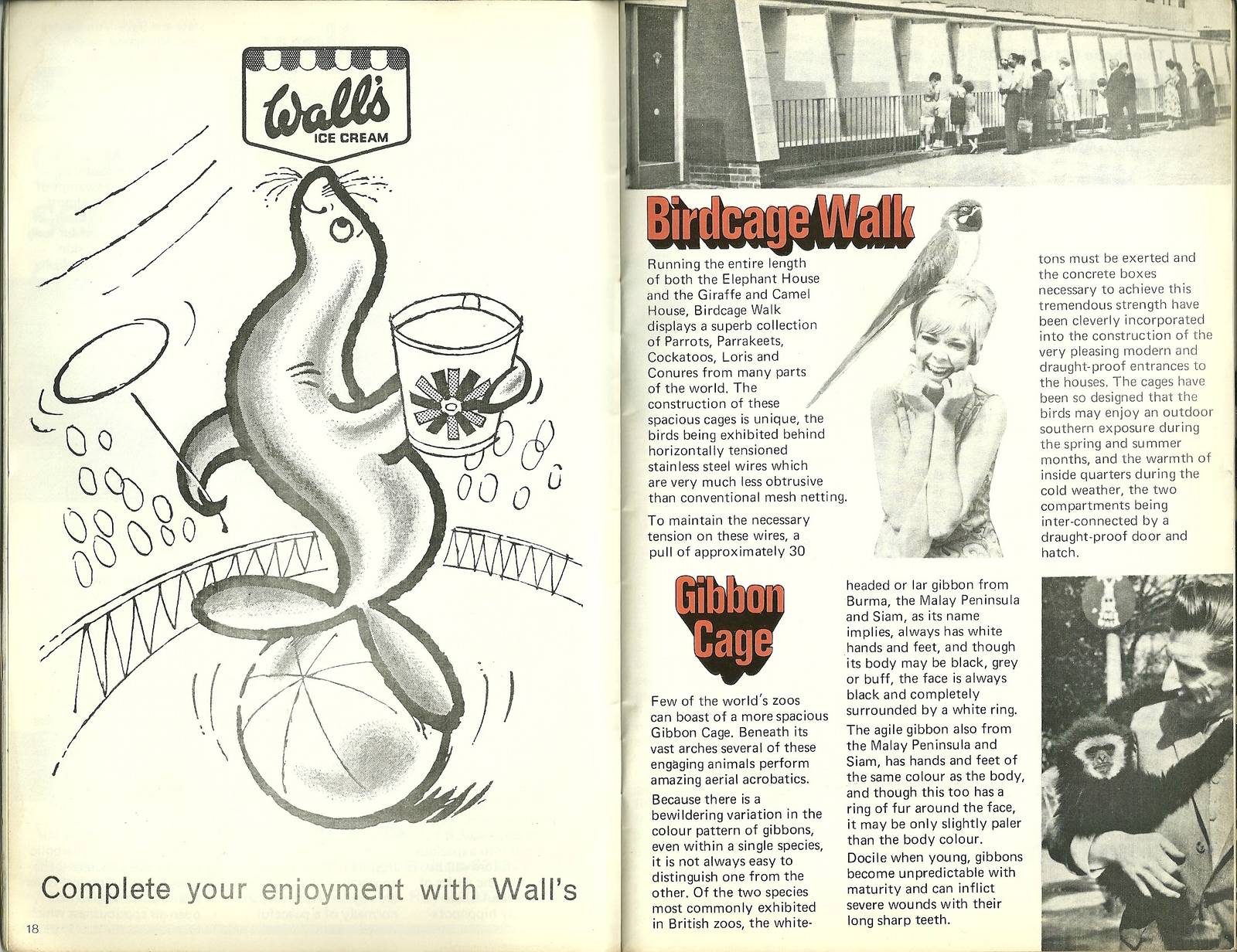 Belle Vue, Manchester. Pages from 1971 guidebook