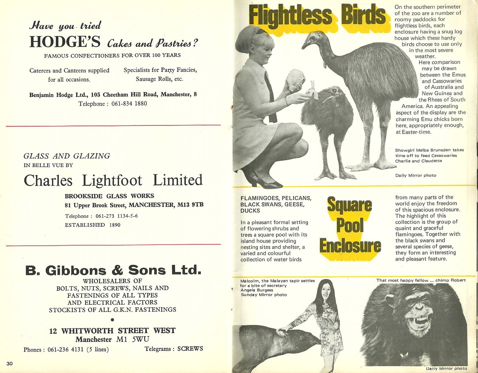 Belle Vue, Manchester. Pages from 1971 guidebook