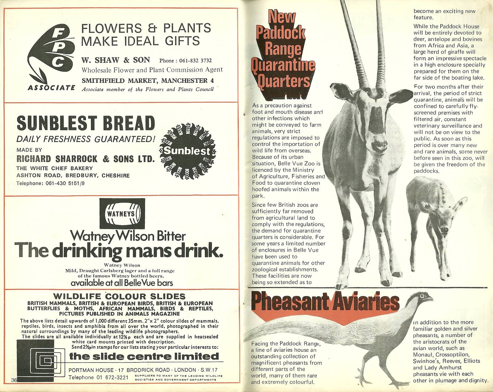 Belle Vue, Manchester. Pages from 1971 guidebook