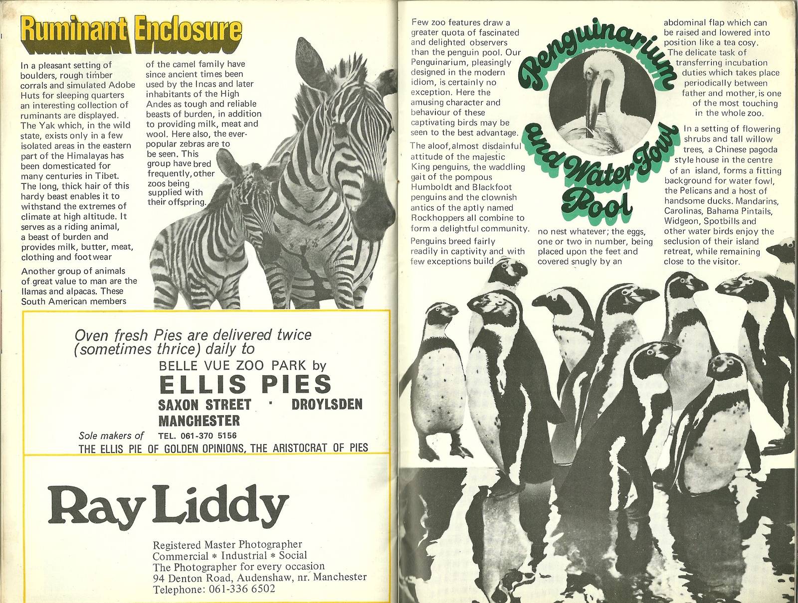 Belle Vue, Manchester. Pages from 1971 guidebook