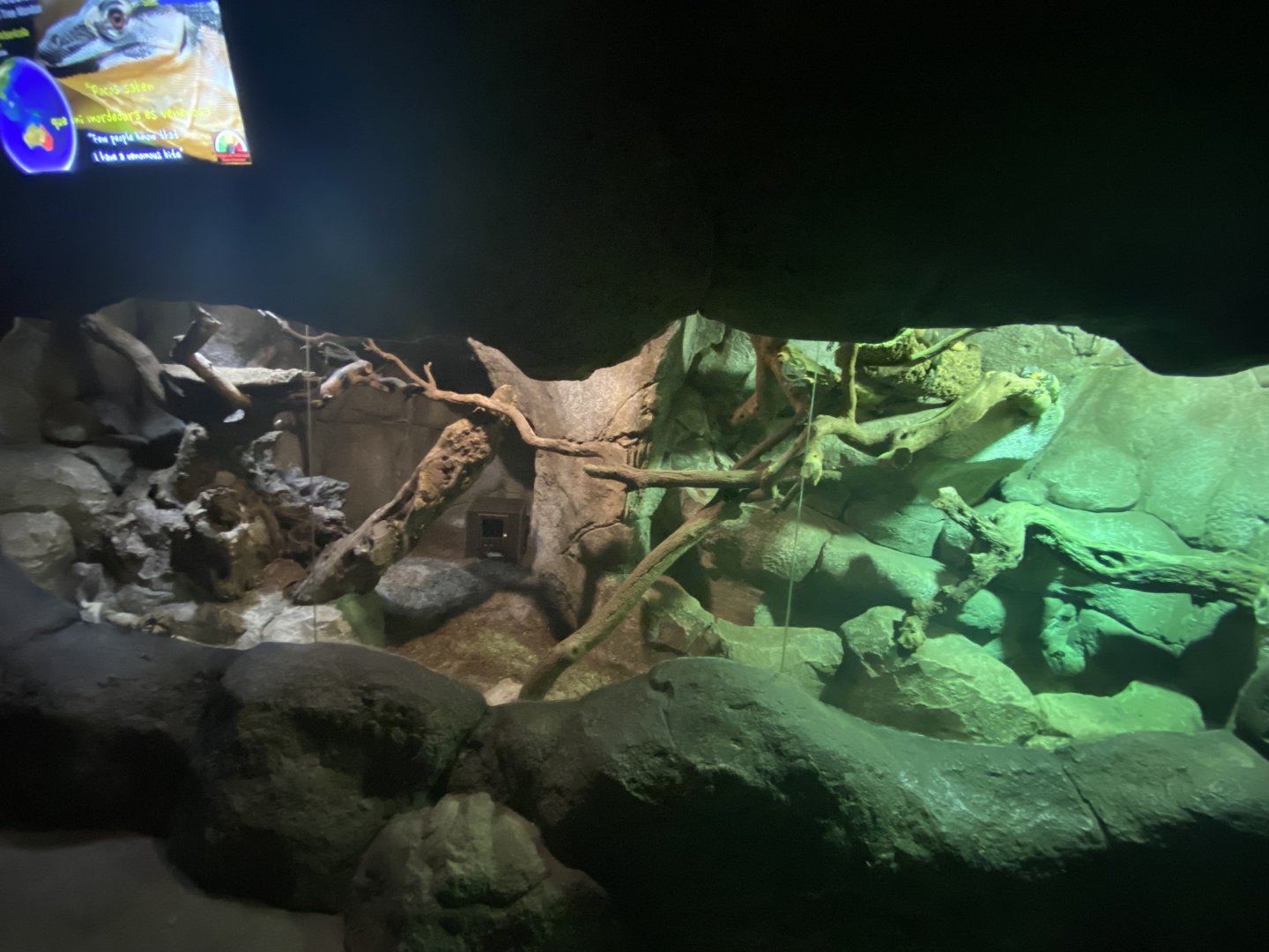 Bell’s phase lace monitor exhibit