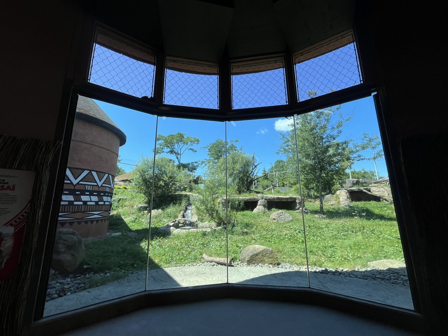 Below window viewing of the African Lion exhibit.