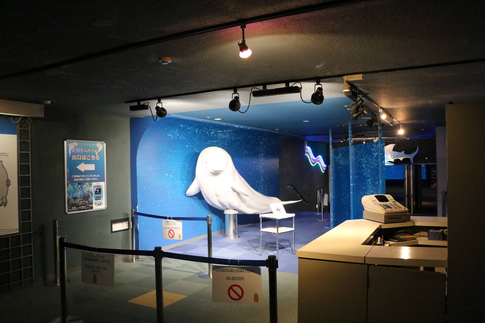 Beluga model for photos, February 2016