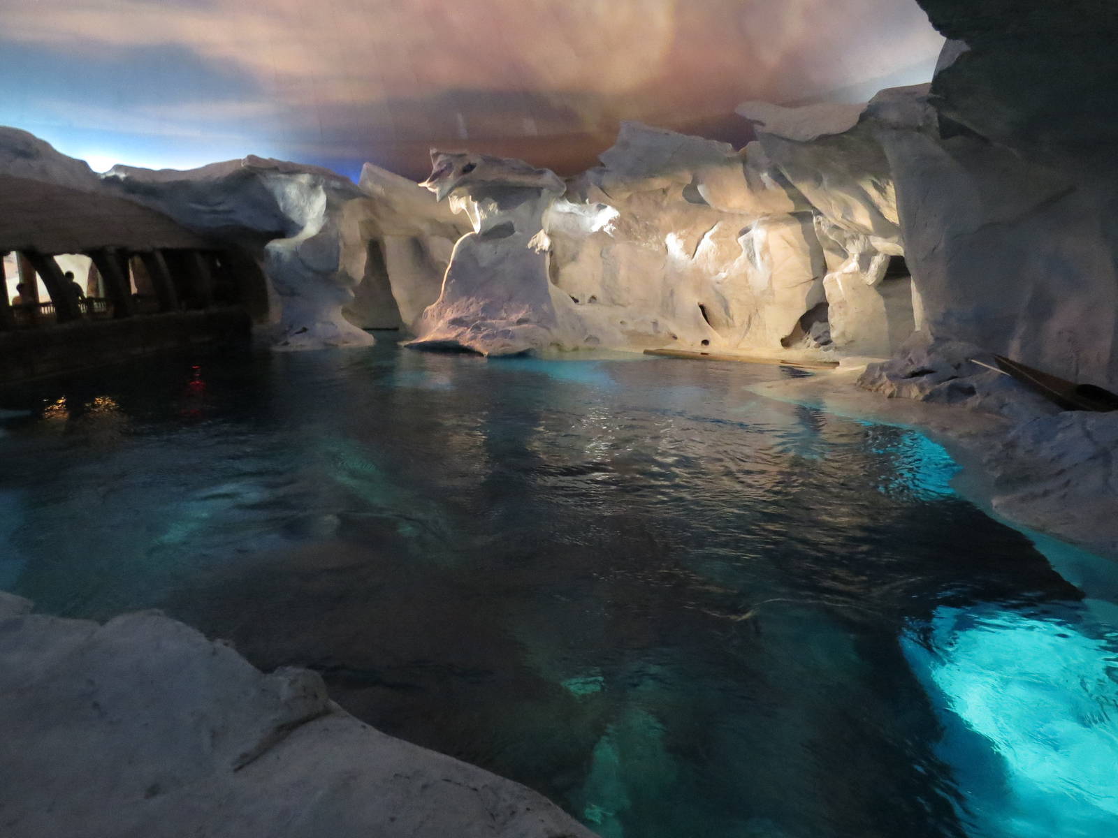 Beluga pool from above, March 2015