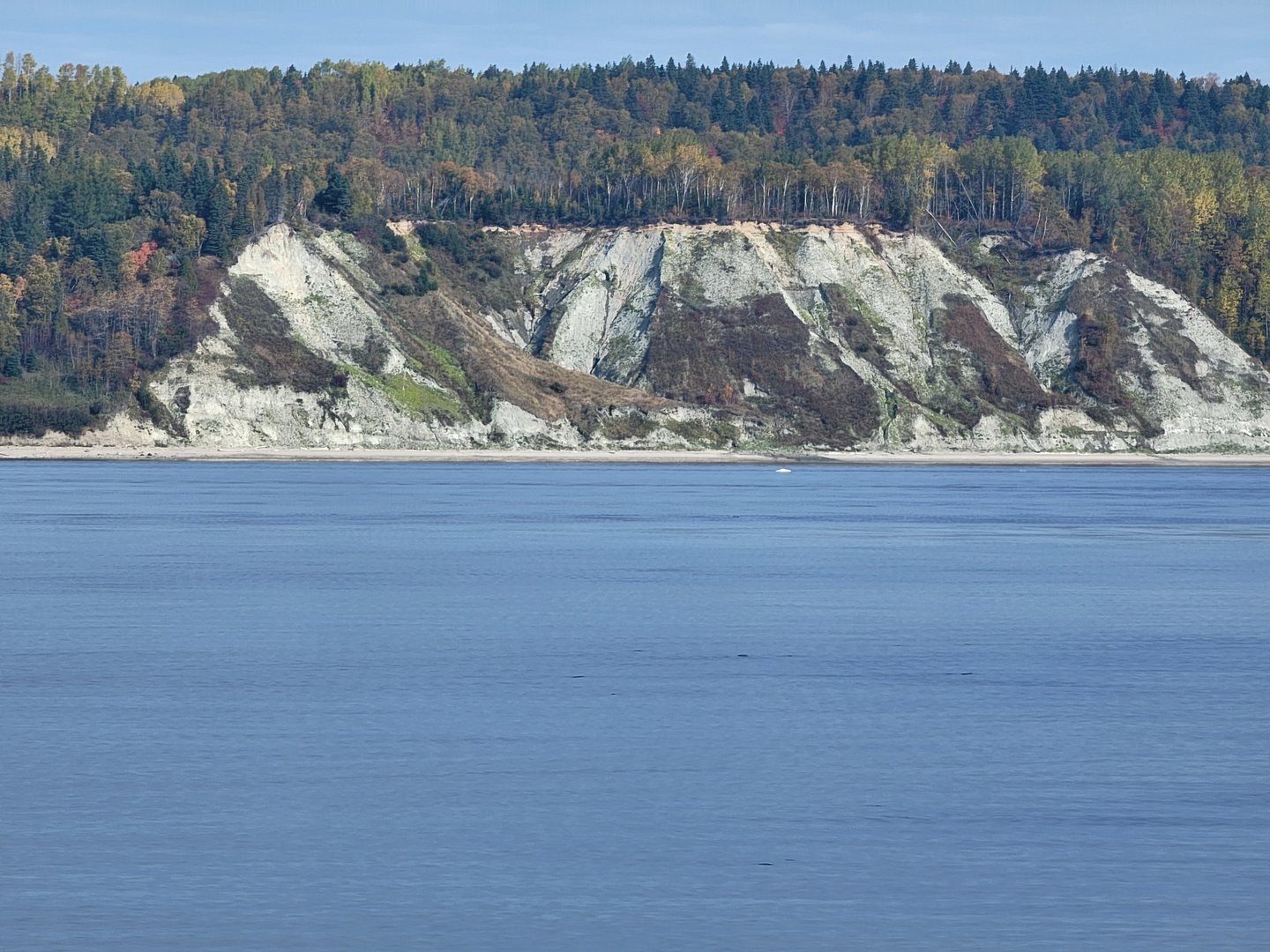 Beluga, Saguenay-St. Lawrence Marine Park