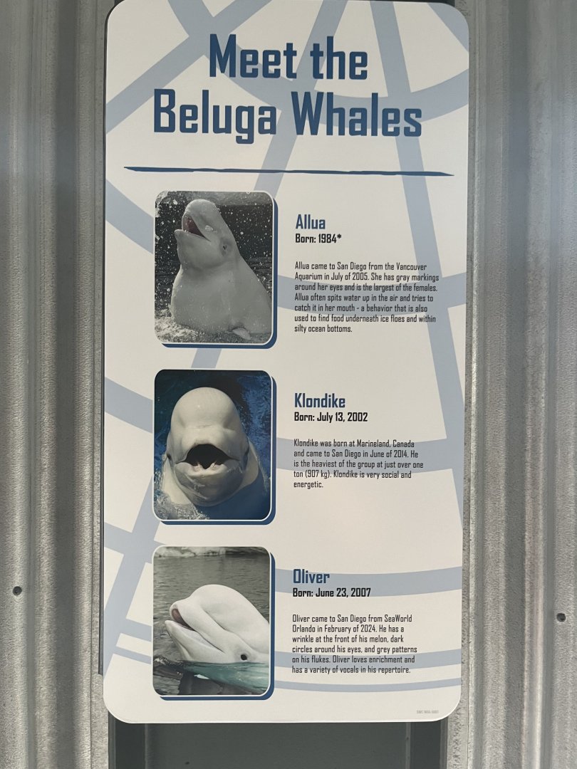 Beluga Signage
