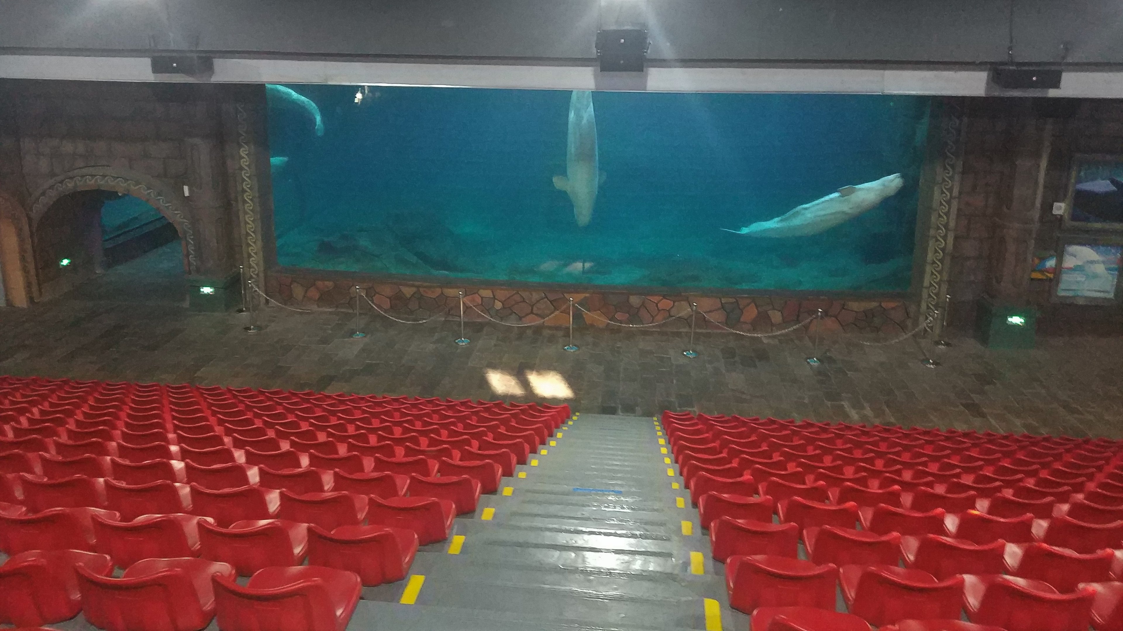 Beluga Viewing Seating