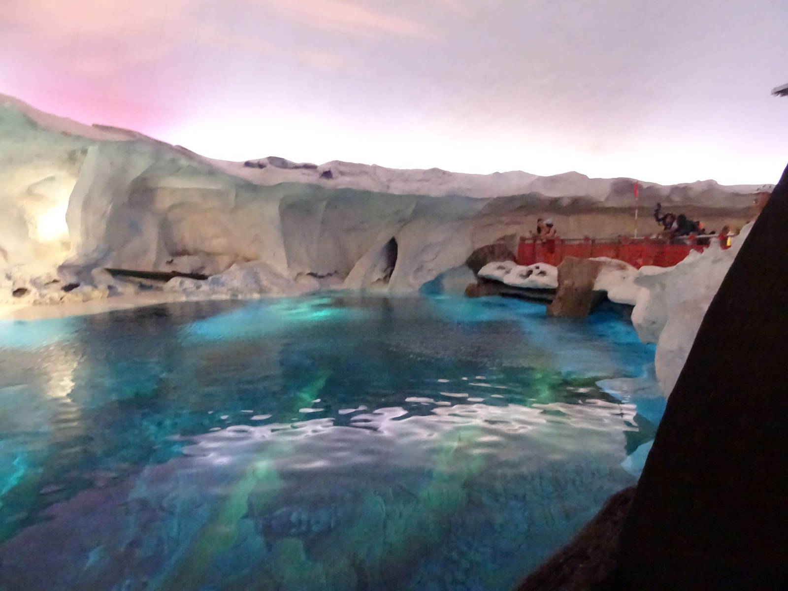 Beluga Whale Exhibit at SeaWorld Orlando