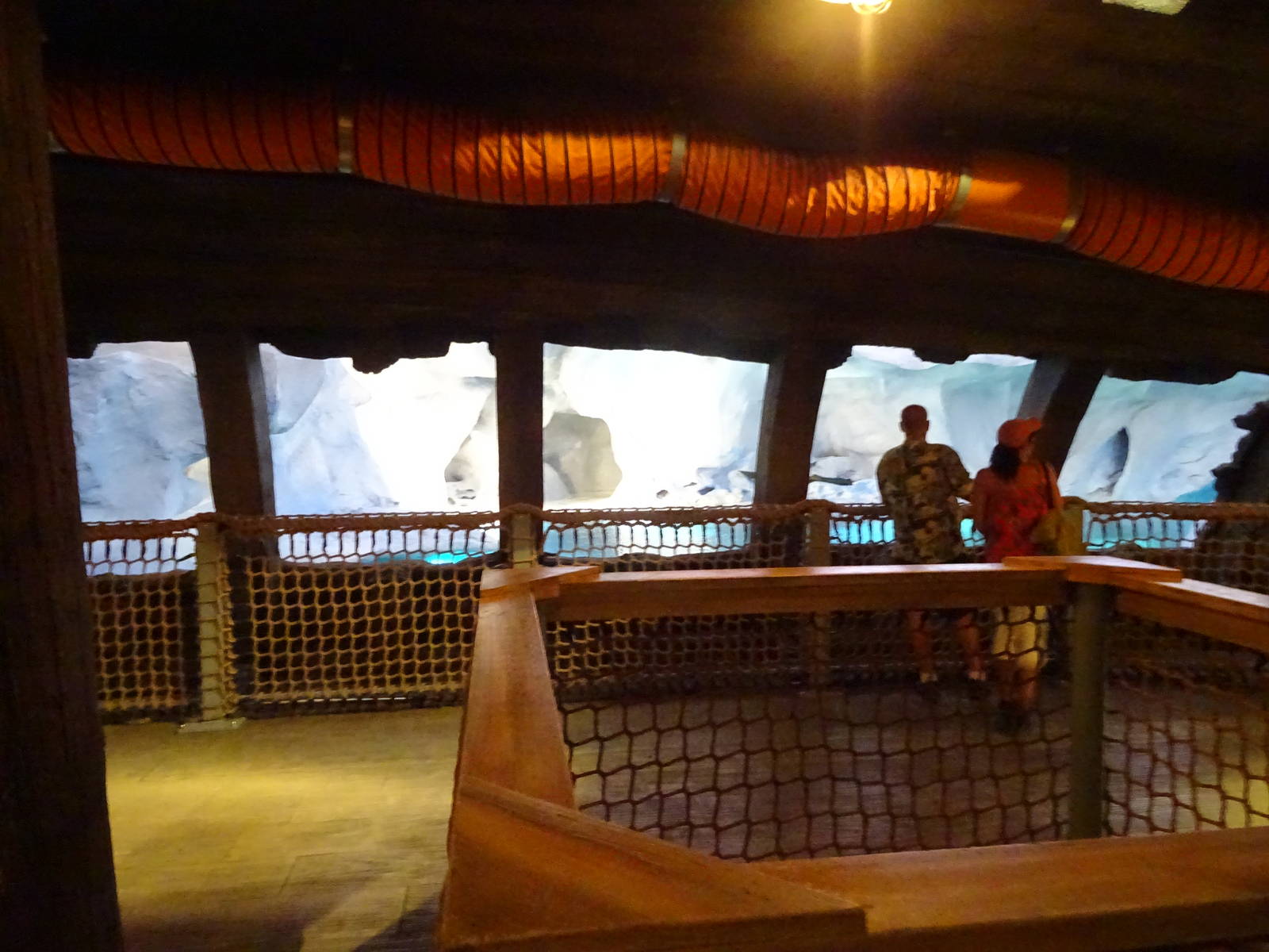 Beluga Whale Exhibit Viewing Area at SeaWorld Orlando