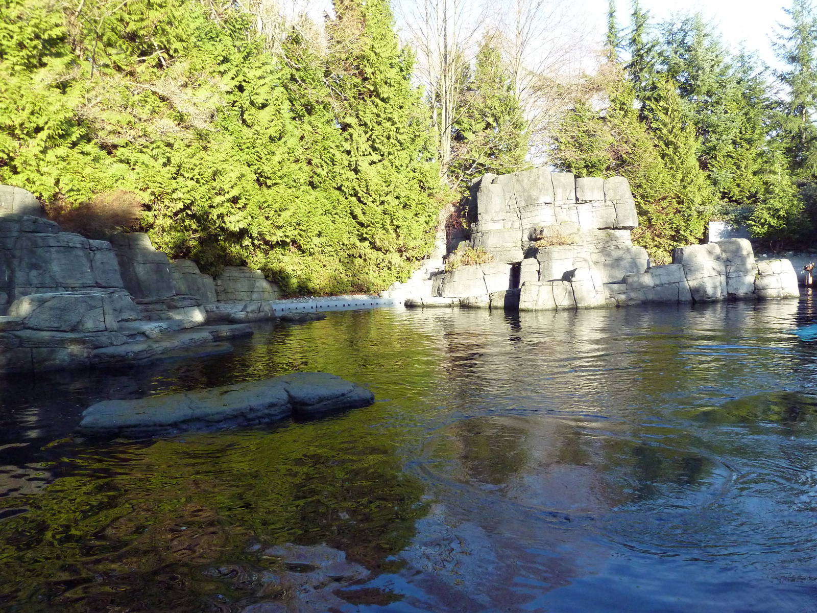Beluga Whale Exhibit