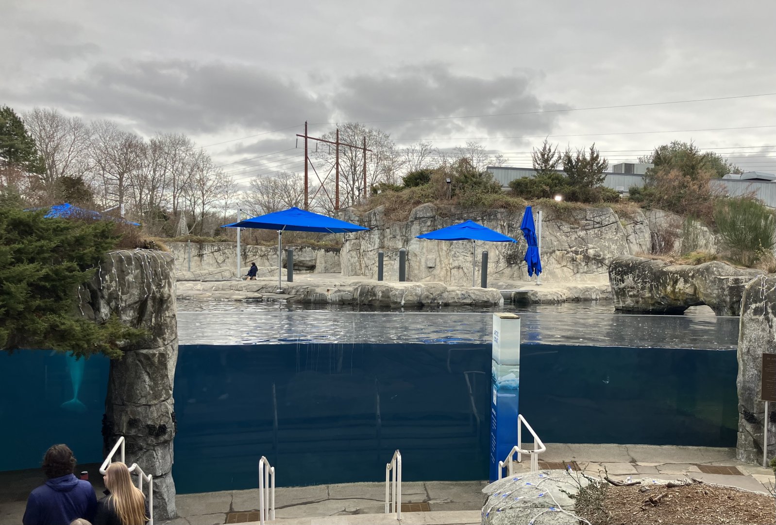 Beluga Whale Exhibit