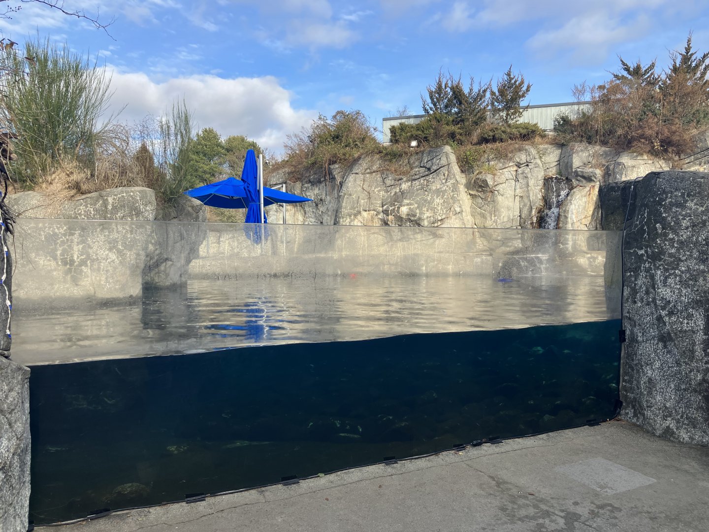 Beluga Whale Exhibit