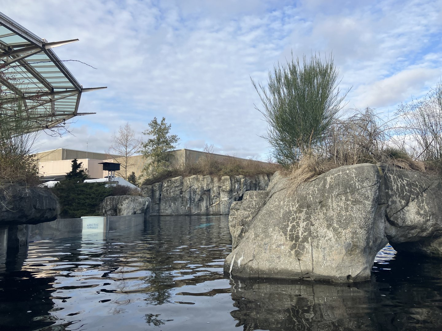 Beluga Whale Exhibit
