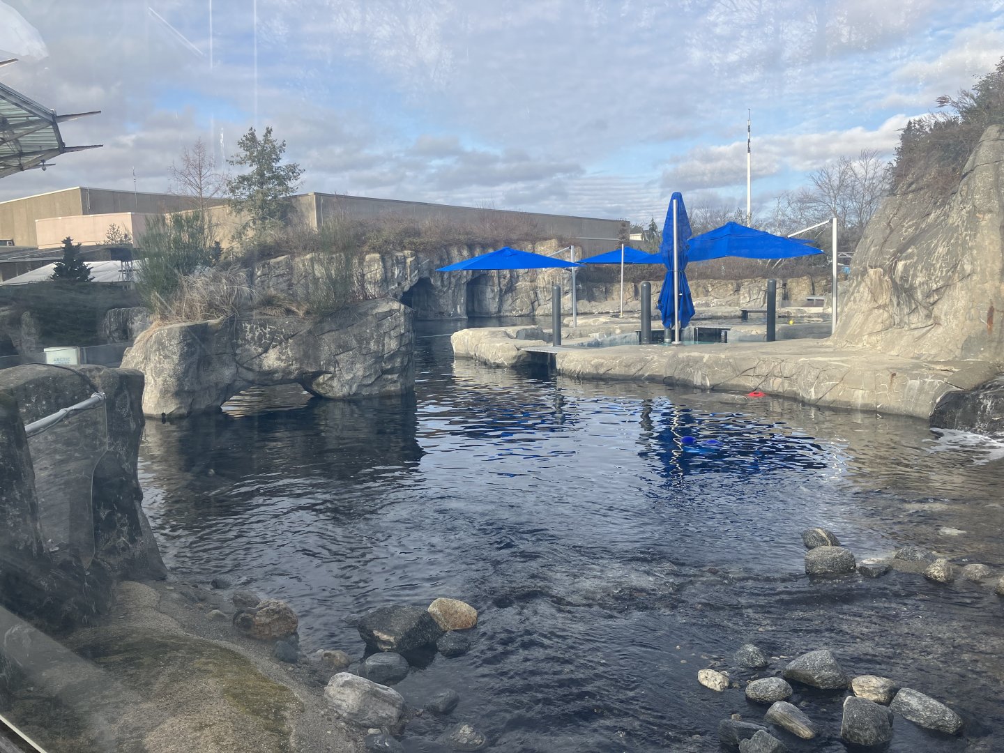 Beluga Whale Exhibit