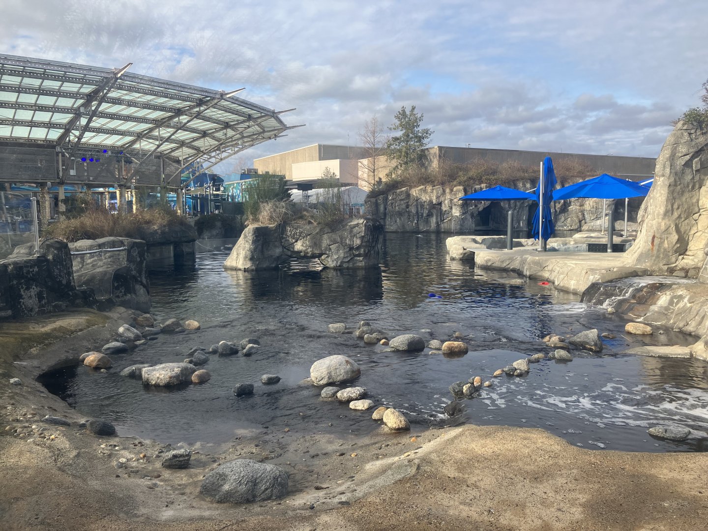 Beluga Whale Exhibit