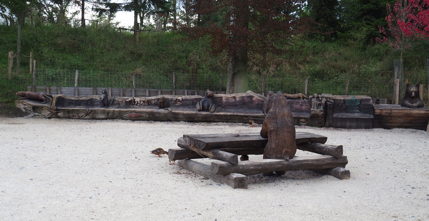 Bench and picnic table with Canadian animal wood carvings, 2020-09-02