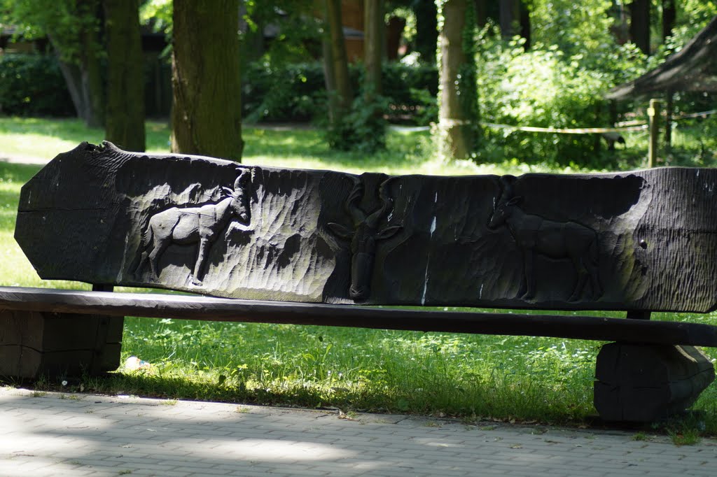 Bench at the zoo