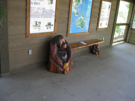 bench in orangutan viewing area